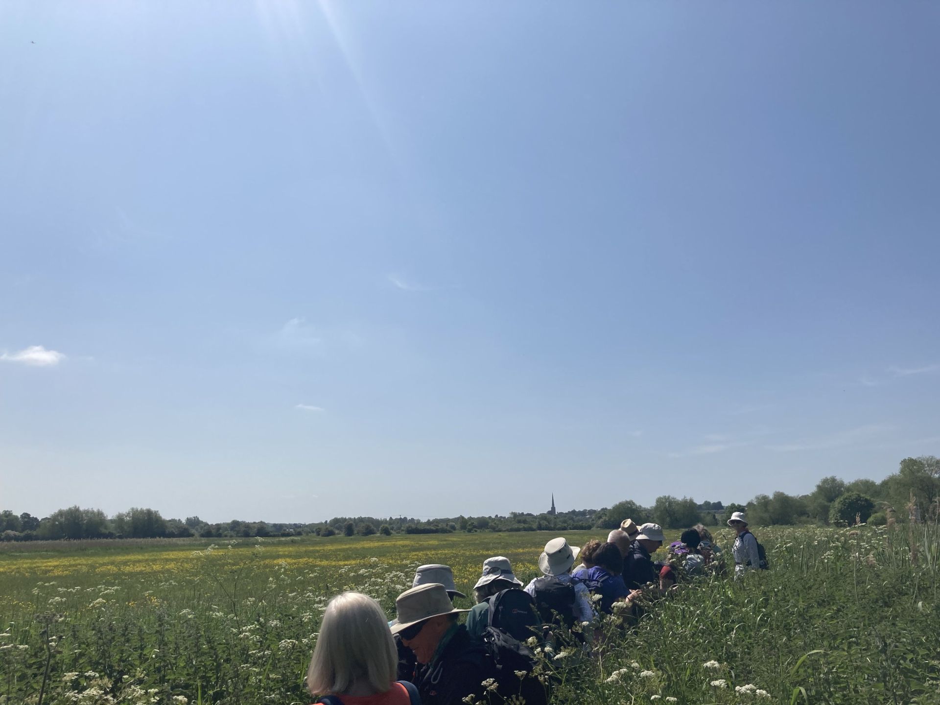 A group of Ramblers wend their way through a field overlooked by blue skies 